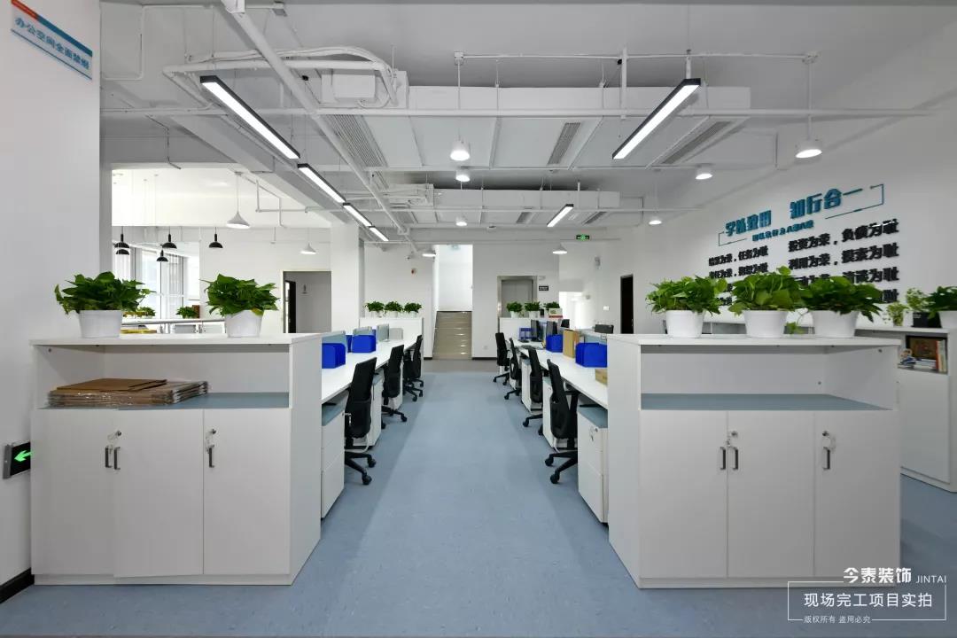 品于匠心 | 今泰裝飾生物科技公司項目完工驗收(圖3)