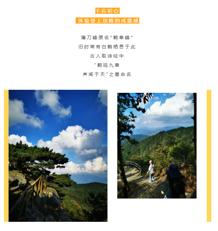 秋天了，來一場成年人的秋游吧(圖2)