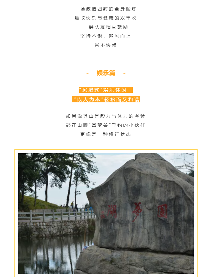 秋天了，來一場成年人的秋游吧(圖4)