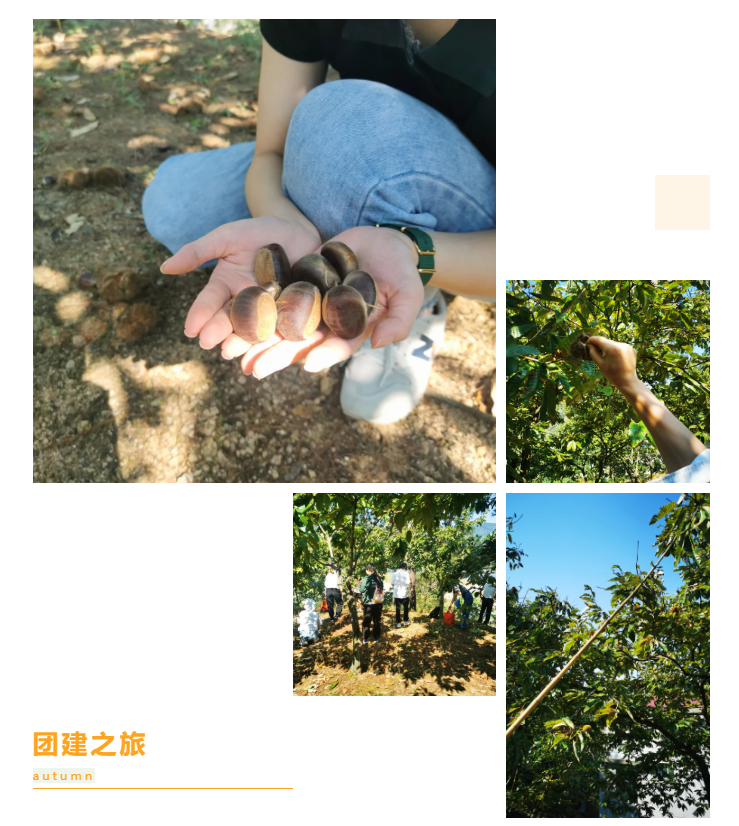 秋天了，來一場成年人的秋游吧(圖6)